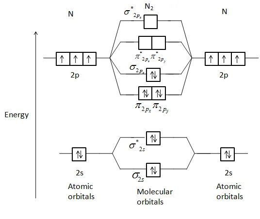 MO Energy Diagram of N2
